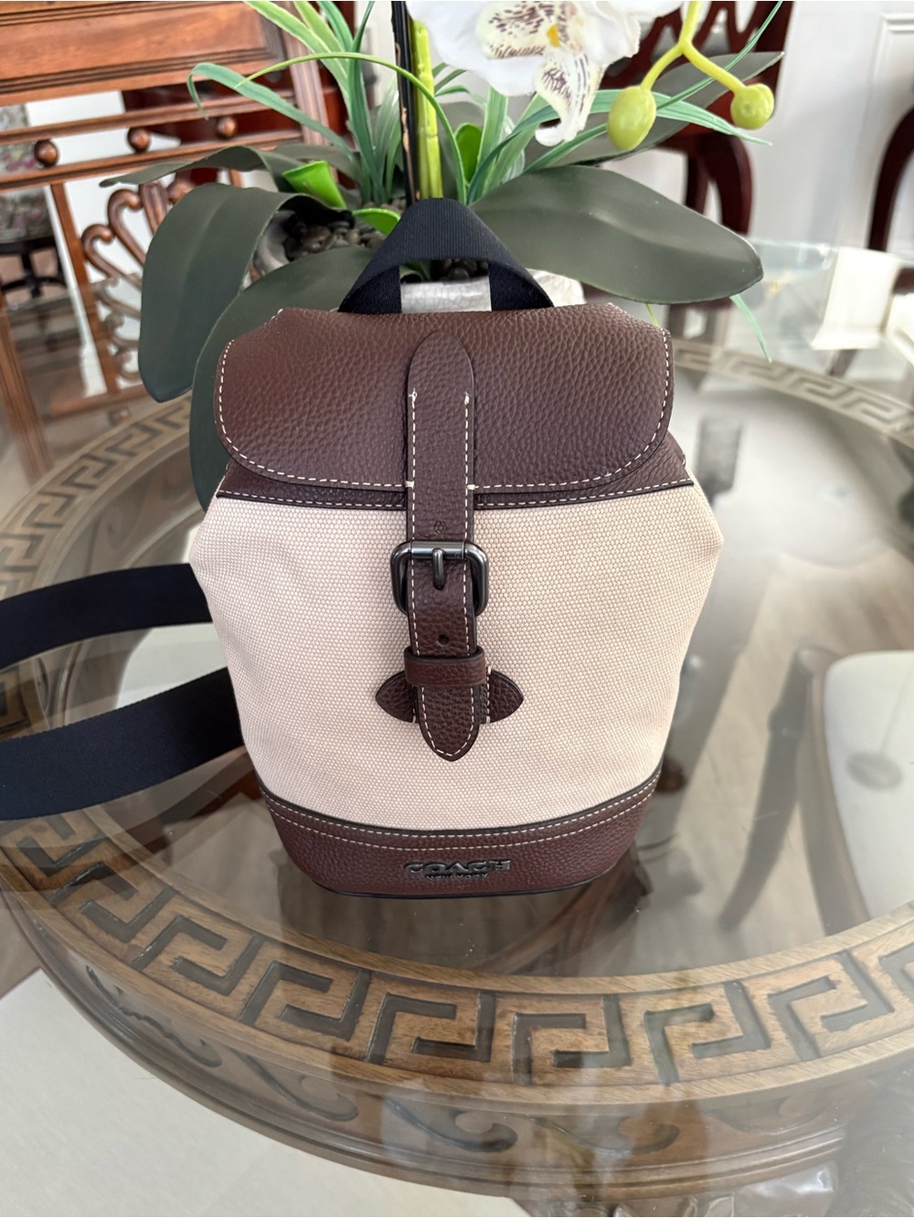 Coach Beige Canvas Mini Backpack with Brown Leather Trim and Black Strap